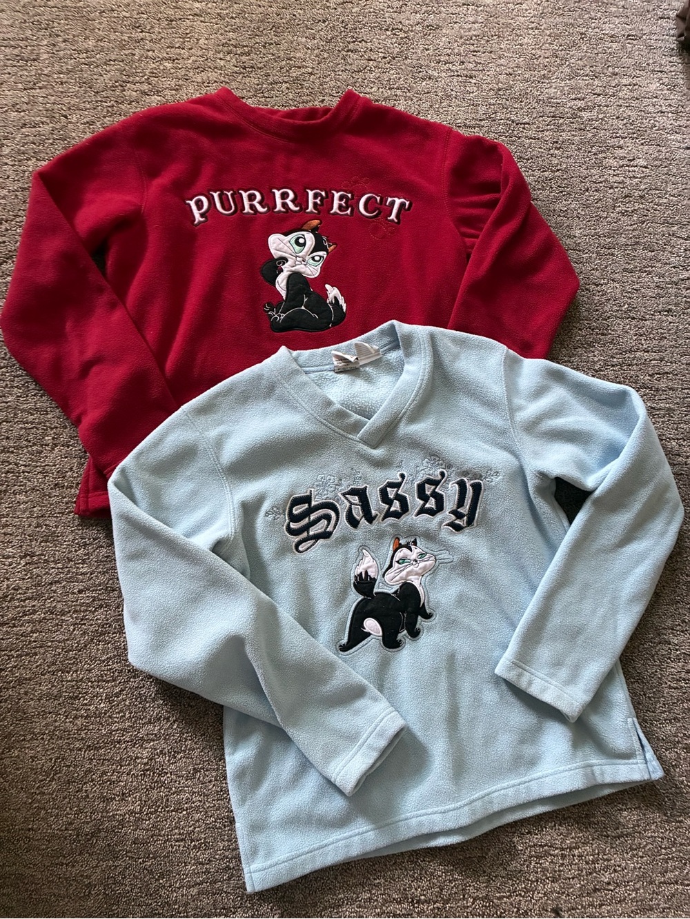 Purrfect & Sassy vintage Y2K looney tunes sweatshirts